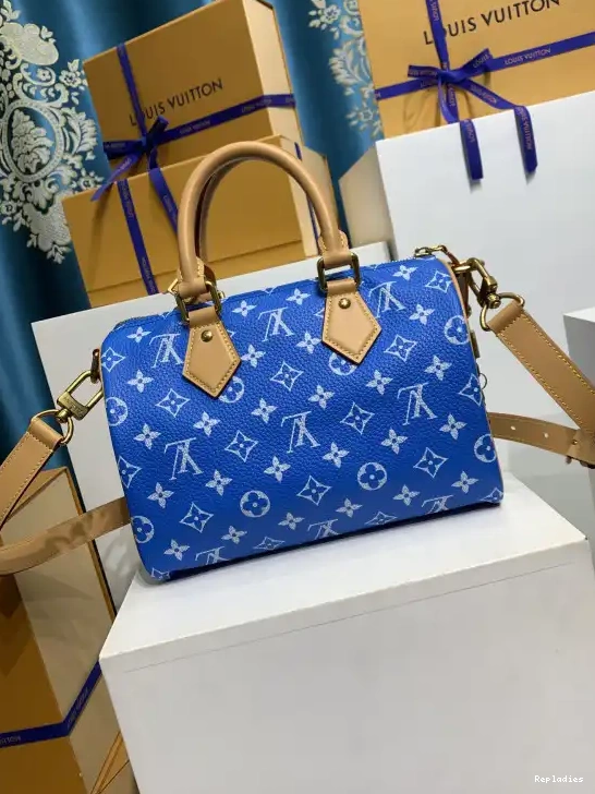 Cheap Louis 25 Vuitton SPEEDY 0531